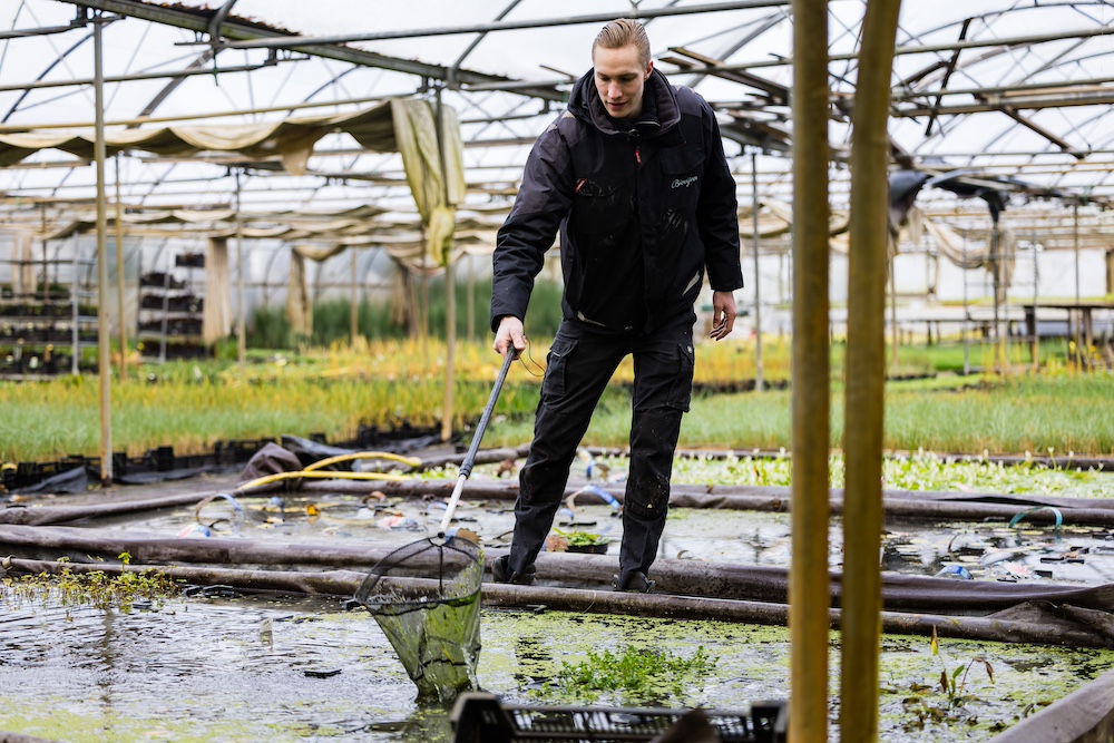 Algen handmatig verwijderen