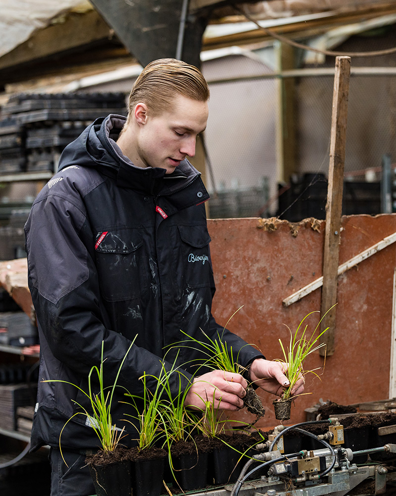 samenwerken met de natuur hoe is biovijver begonnen